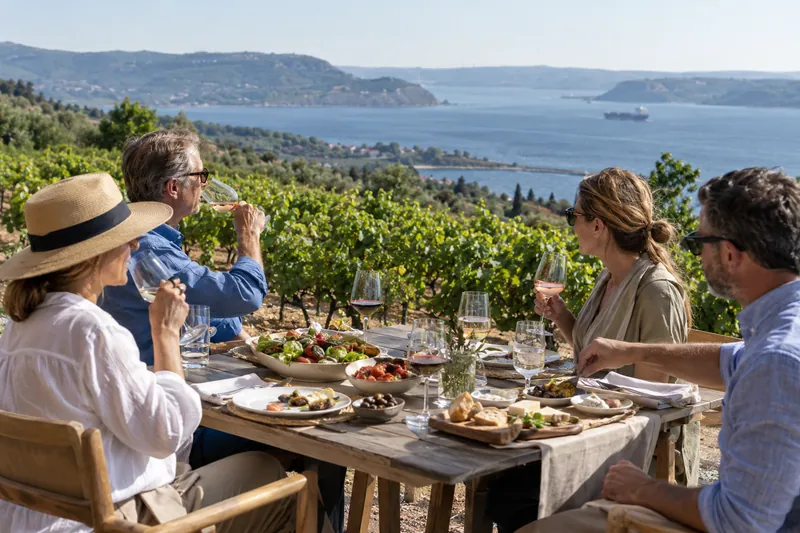 Travelers enjoying a vineyard lunch with wine tasting above the Dardanelles