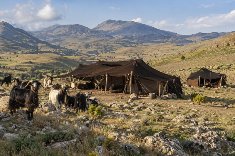 Black goat-hair tents of a Yoruk nomad camp with goats on the Anatolian plateau